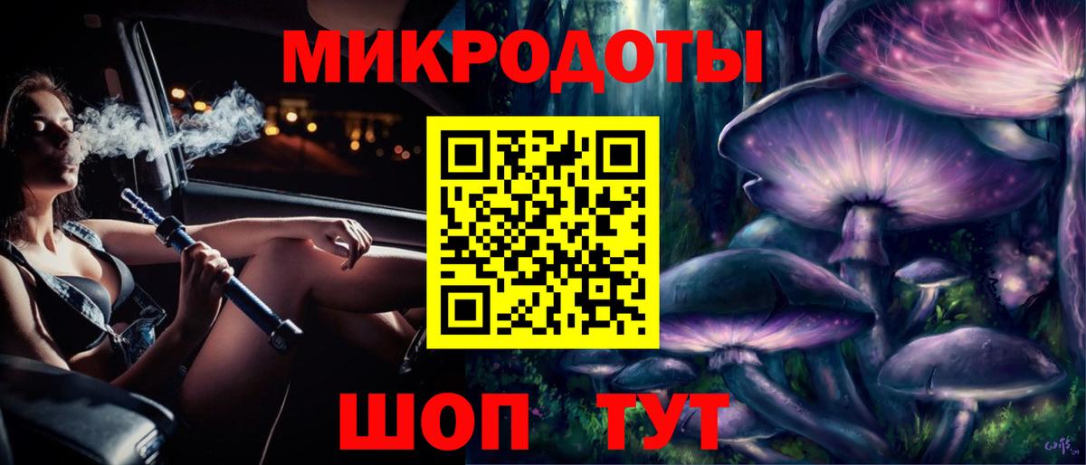 Псилоцибиновые грибы Psilocybe Анапа